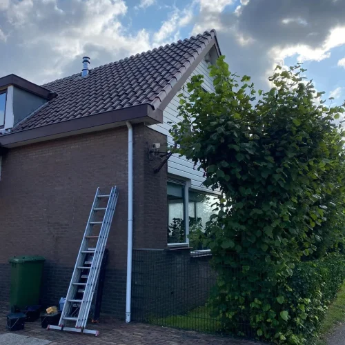 PHOTO-2024-11-01-21-00-43(1)