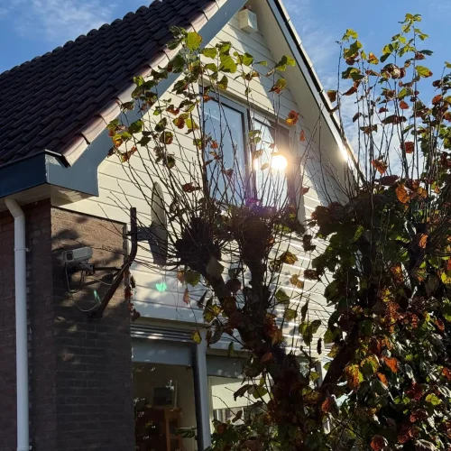 PHOTO-2024-11-01-21-00-44(3)