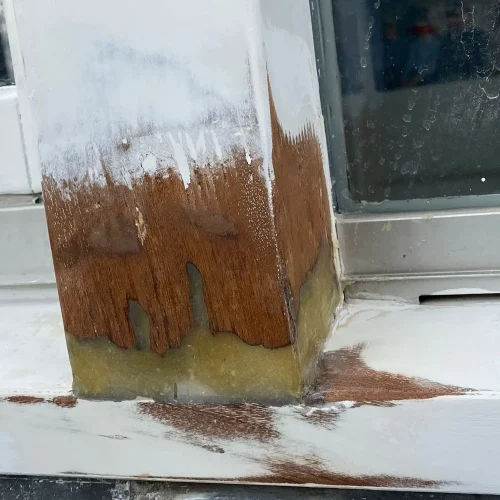 PHOTO-2024-11-01-21-18-34