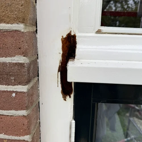 PHOTO-2024-11-01-21-18-42