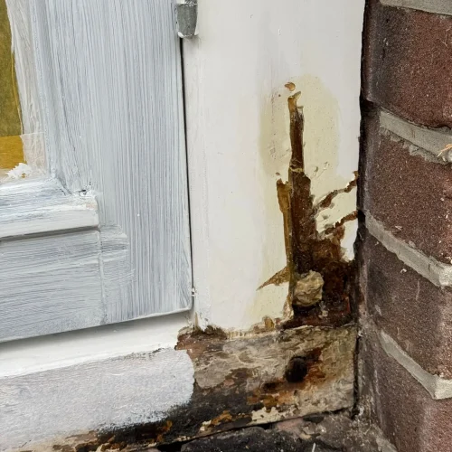 PHOTO-2024-11-01-21-18-45