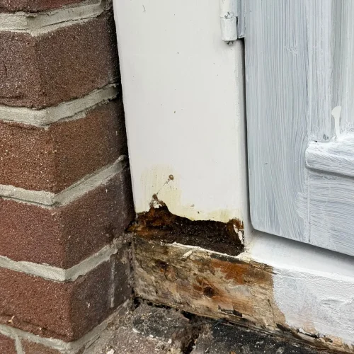 PHOTO-2024-11-01-21-18-47