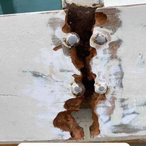 PHOTO-2024-11-01-21-19-10