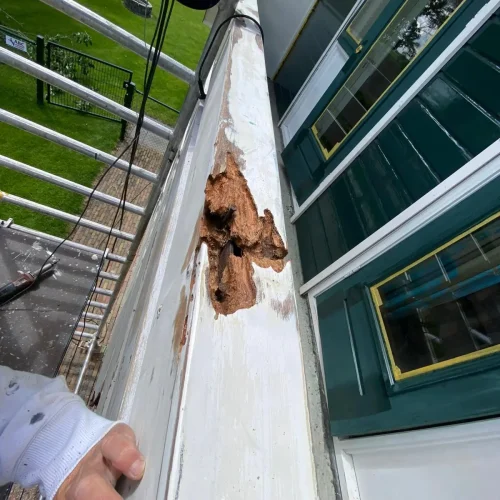 PHOTO-2024-11-01-21-19-11(1)