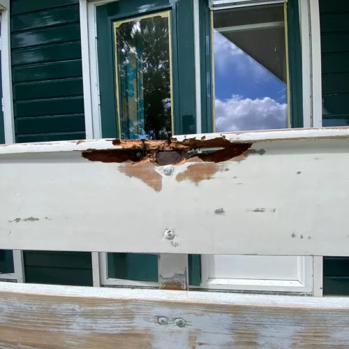 PHOTO-2024-11-01-21-19-12